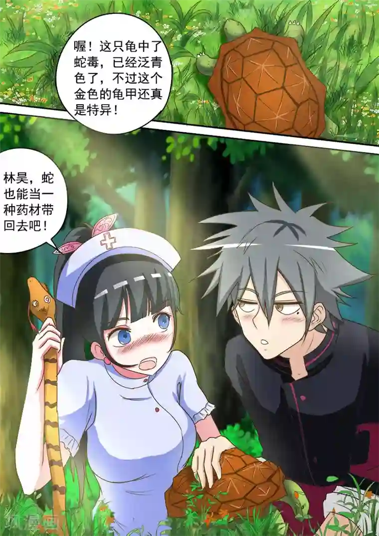 中华神医第15话 金钱龟