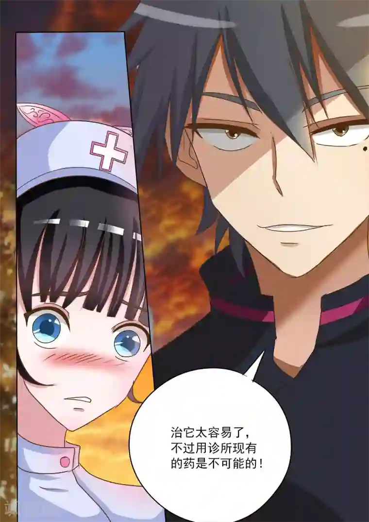 中华神医第16话 破龟这么值钱