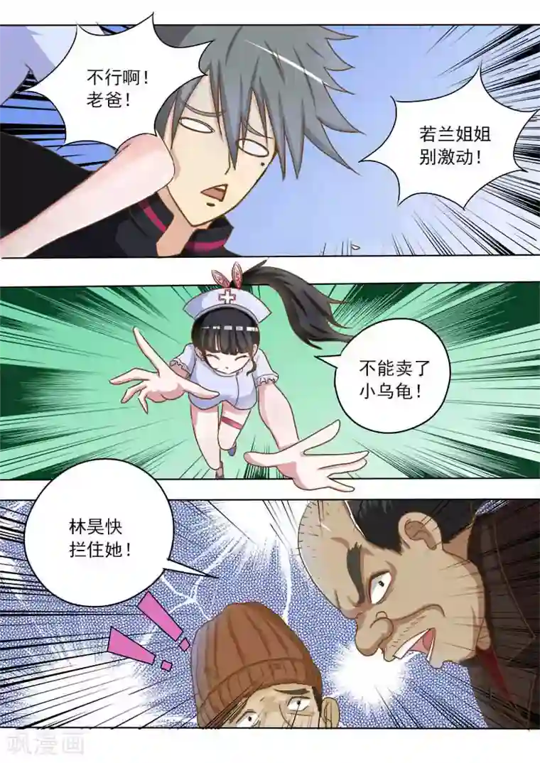 中华神医第16话 破龟这么值钱