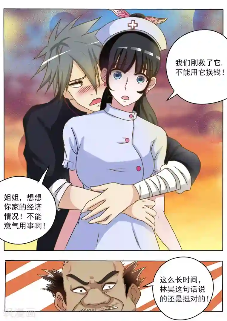 中华神医第16话 破龟这么值钱