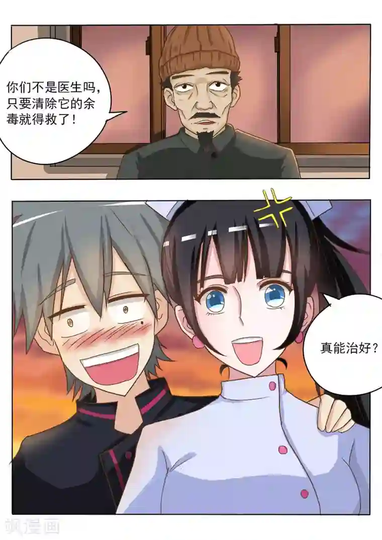 中华神医第16话 破龟这么值钱