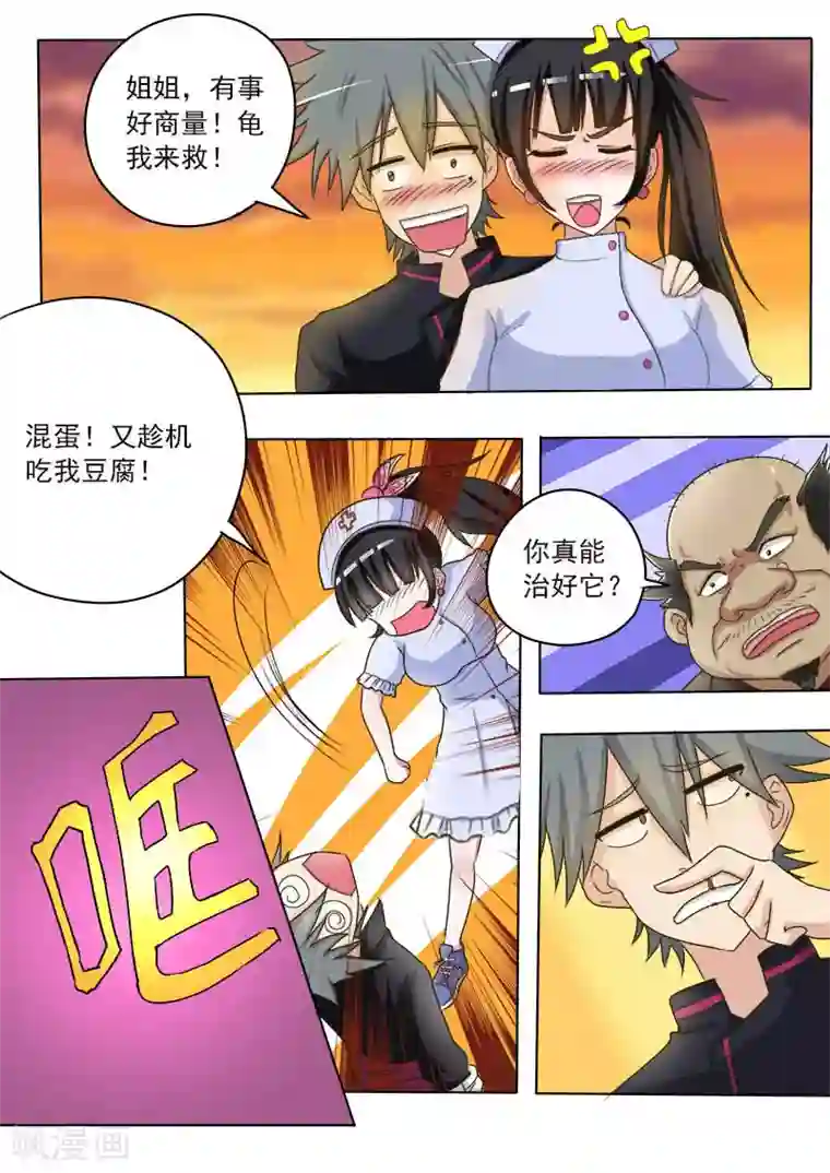 中华神医第16话 破龟这么值钱