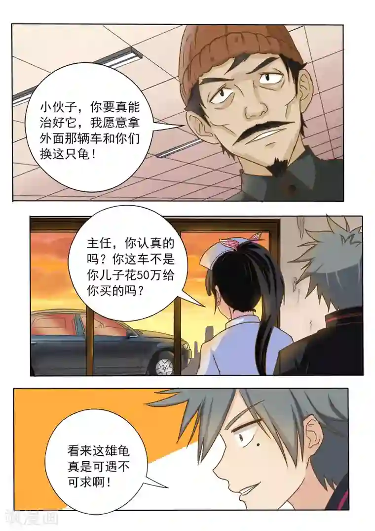 中华神医第17话 妙手巧救小乌龟