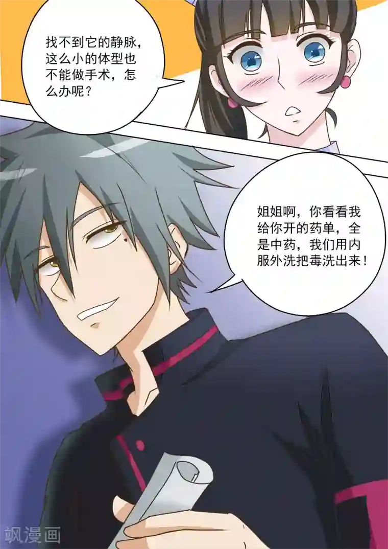 中华神医第17话 妙手巧救小乌龟