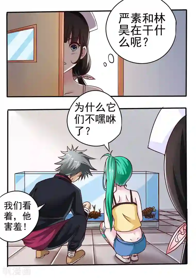 中华神医第54话 金龟大老板