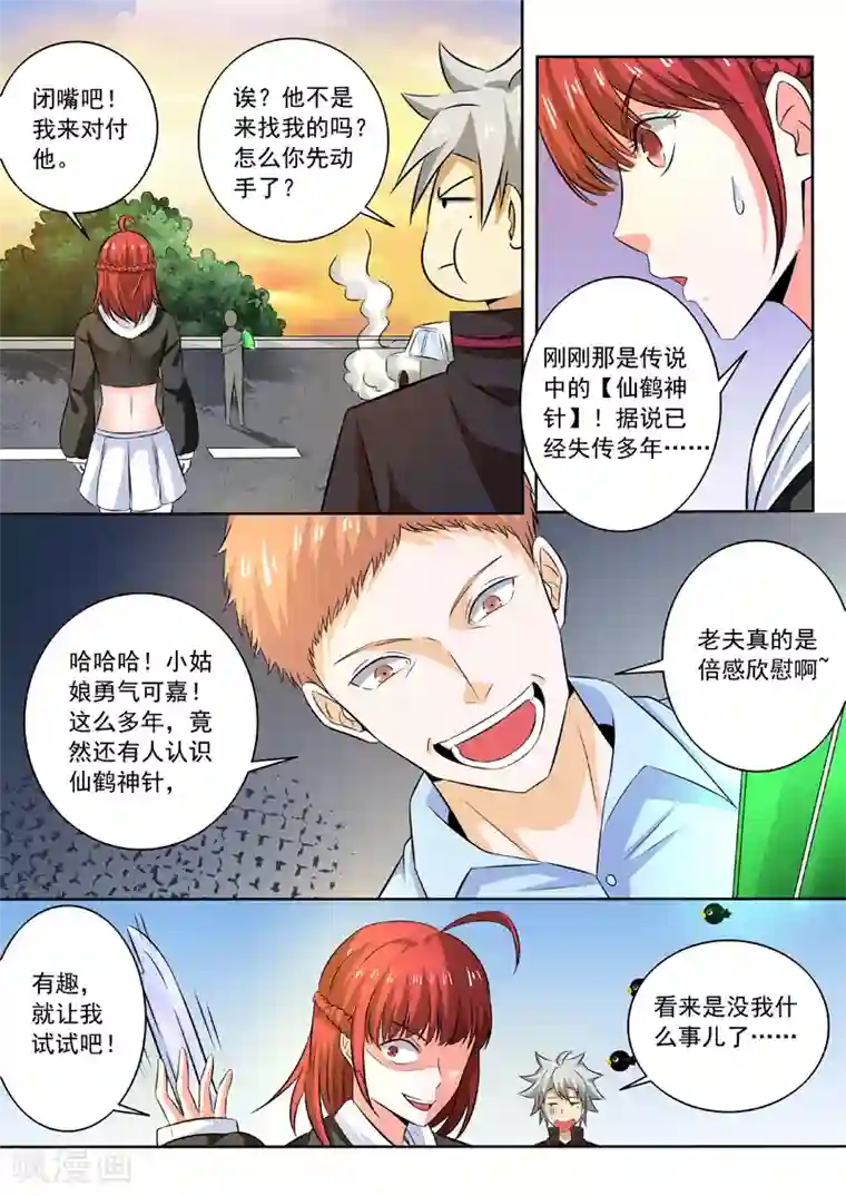 中华神医第257话 仙鹤神针