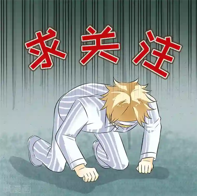 中华神医第264话 磕头道歉