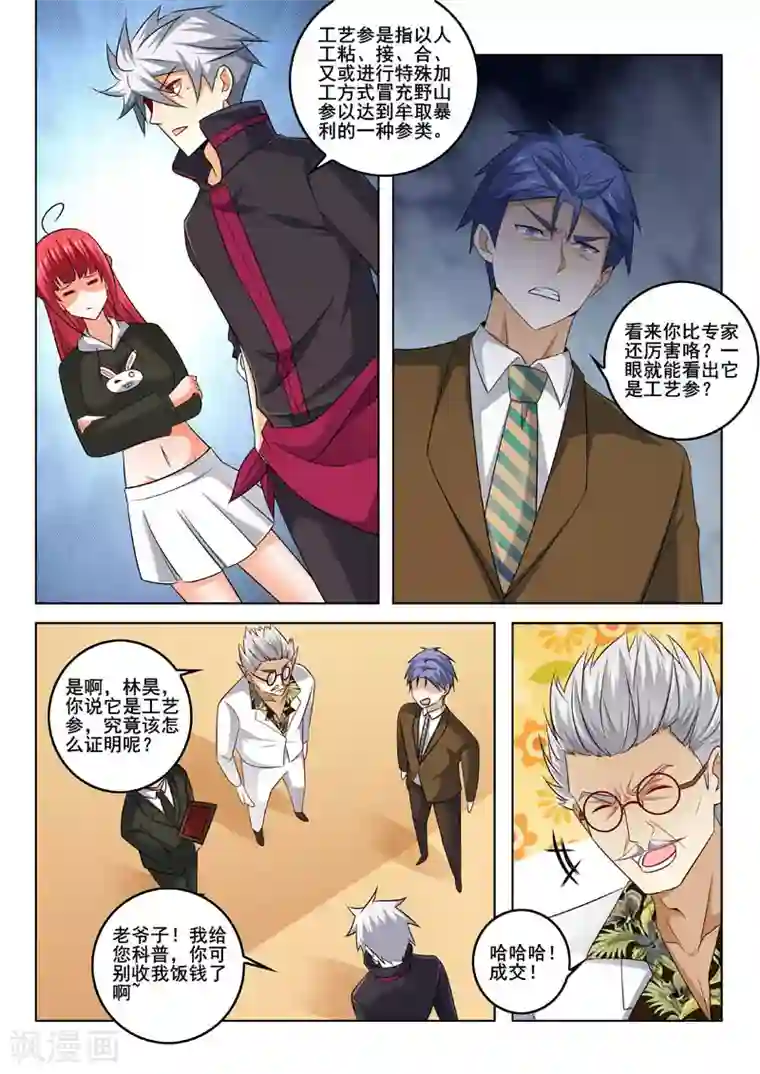 中华神医第317话 人参风波