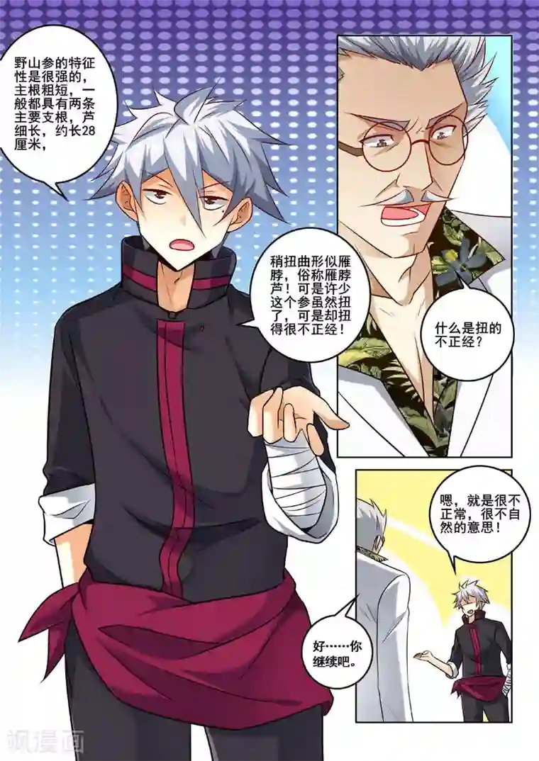 中华神医第317话 人参风波