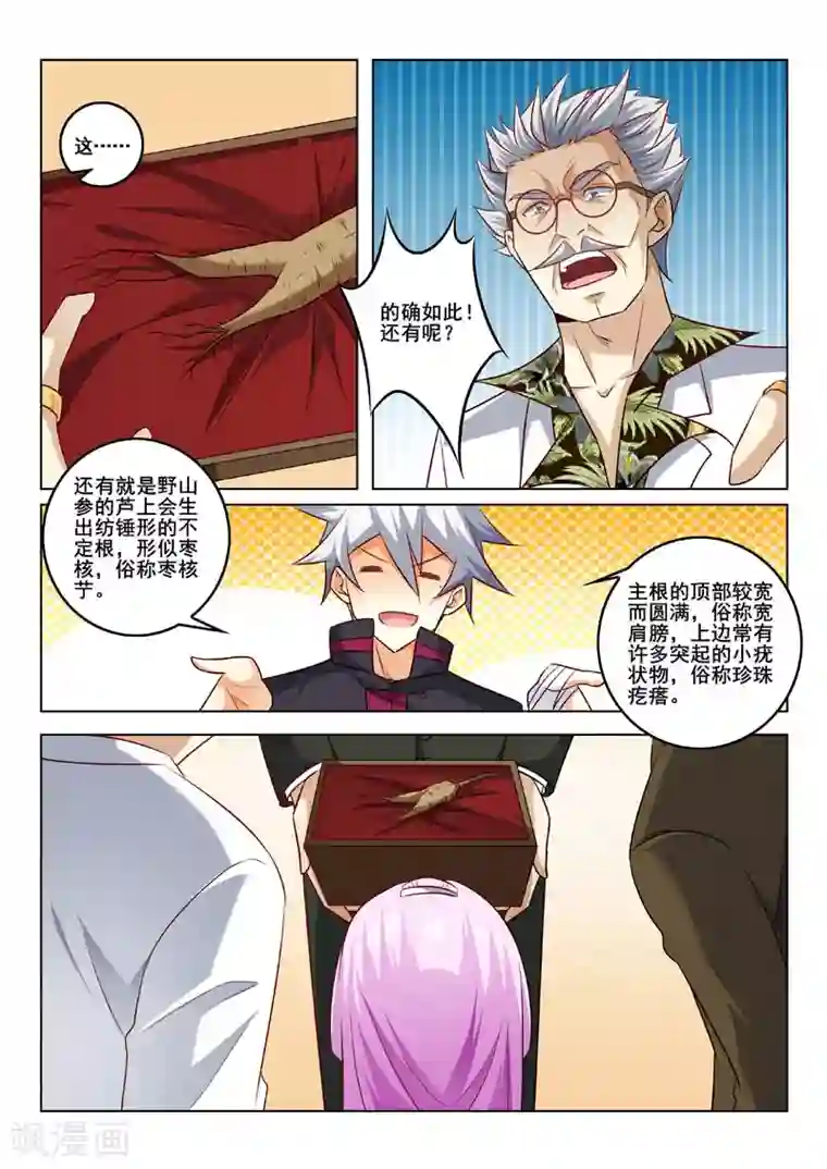 中华神医第317话 人参风波