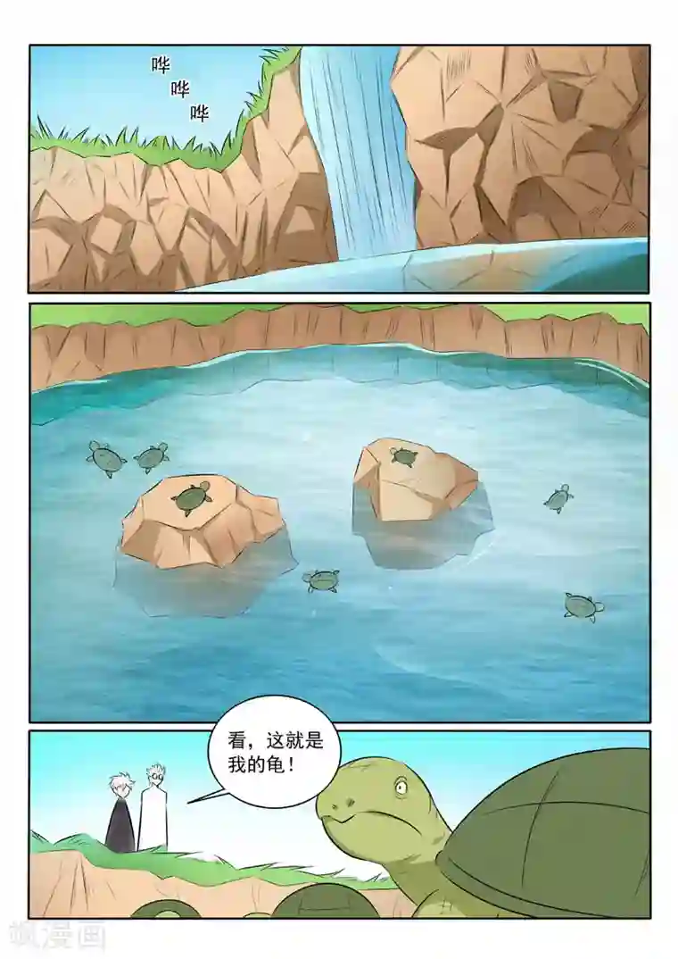 中华神医第319话 你家宝贝很垃圾