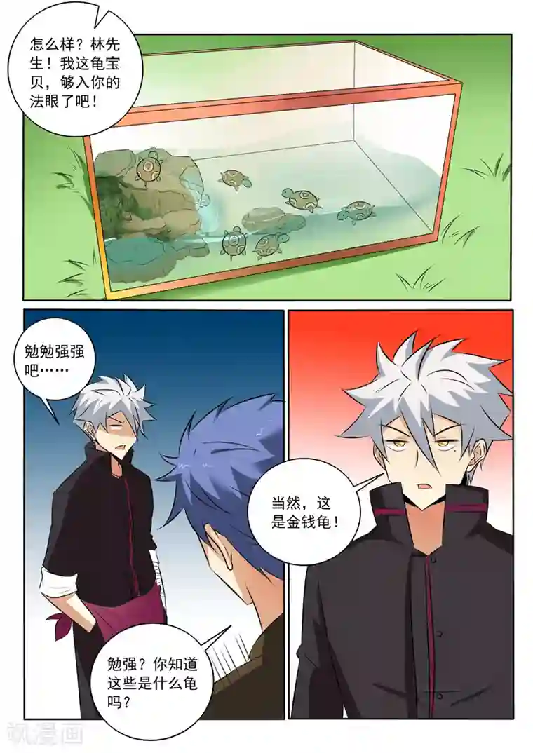 中华神医第319话 你家宝贝很垃圾