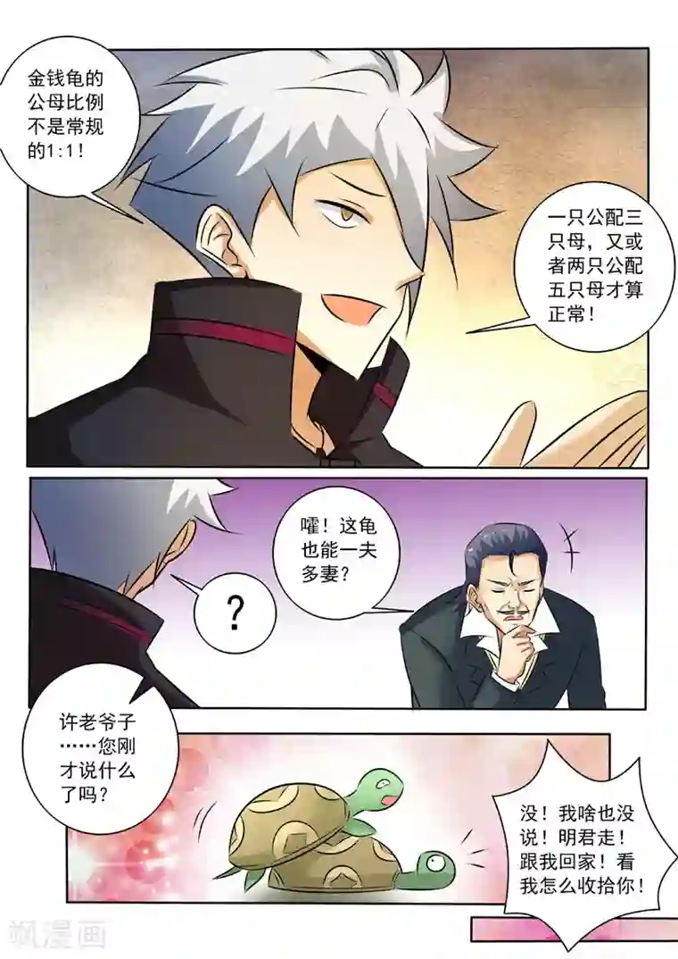 中华神医第321话 探底