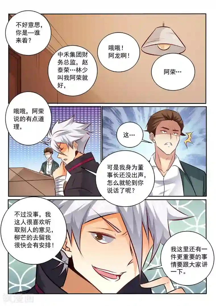 中华神医第341话 托付柳芒