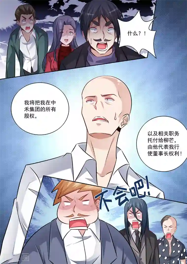 中华神医第341话 托付柳芒