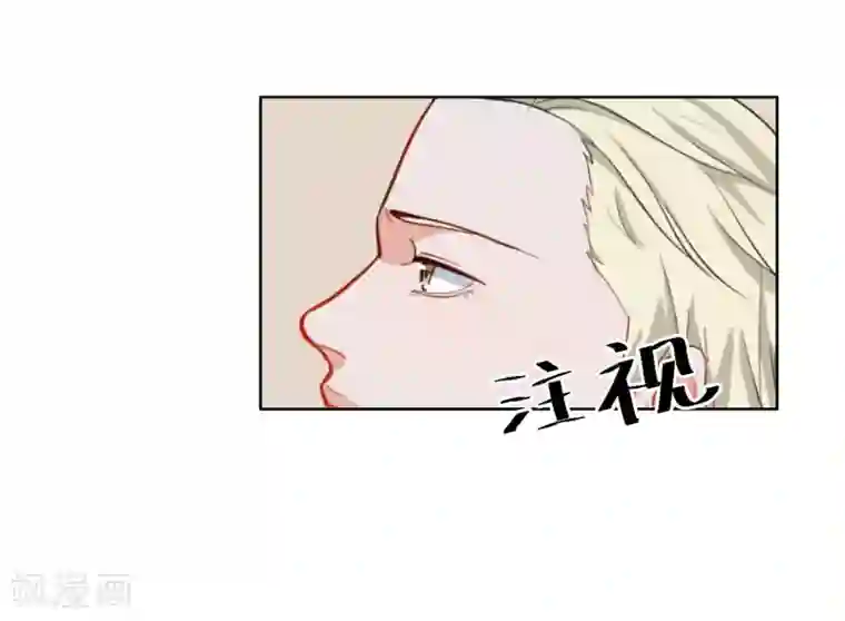 半脸女王第5话 试镜