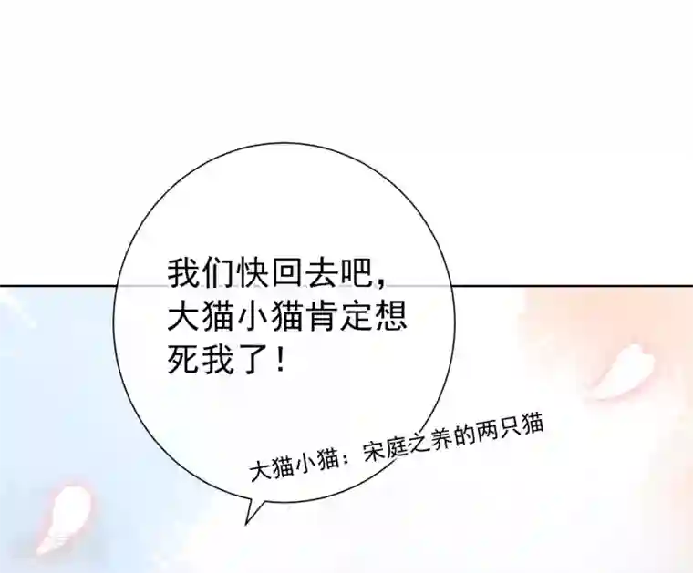 半脸女王第9话 绯闻