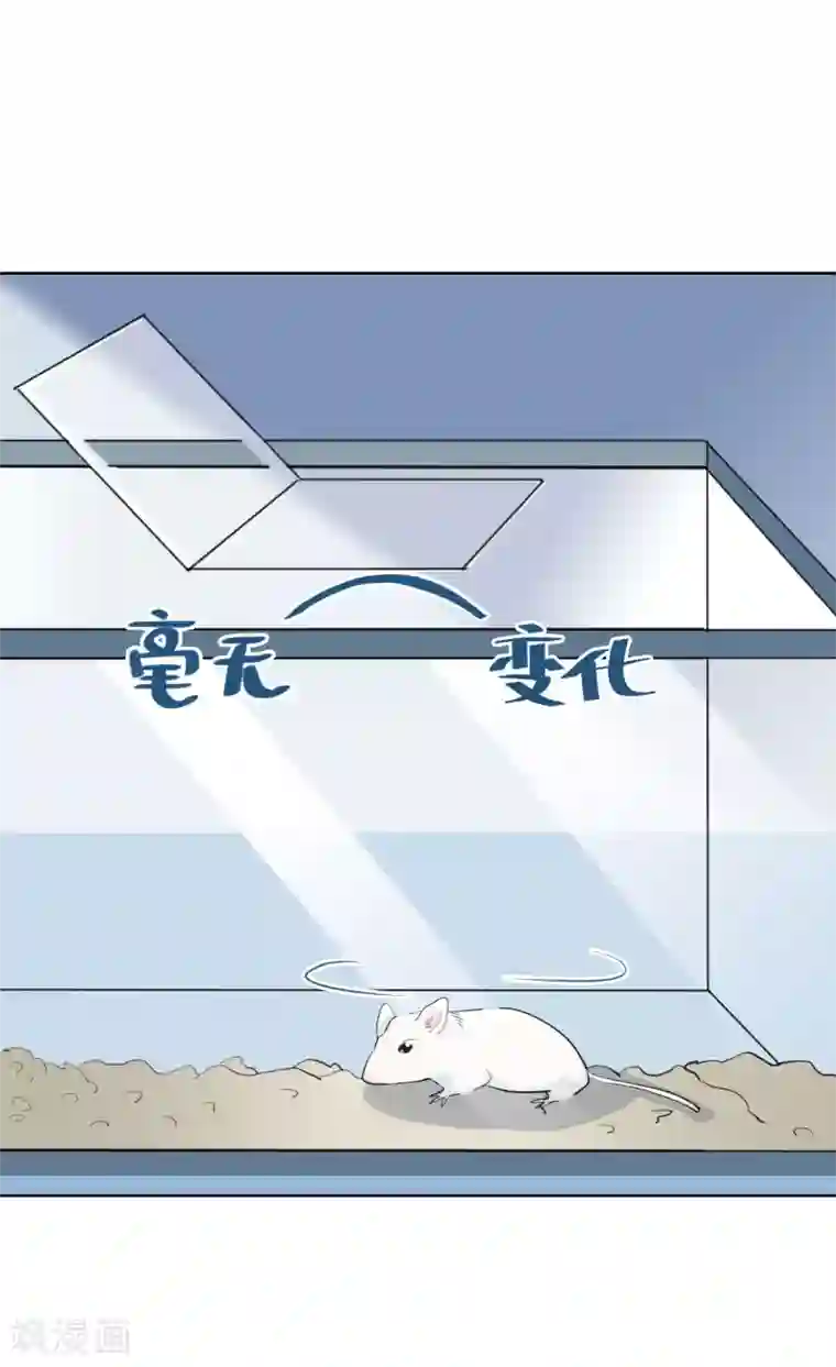 半脸女王第9话 绯闻