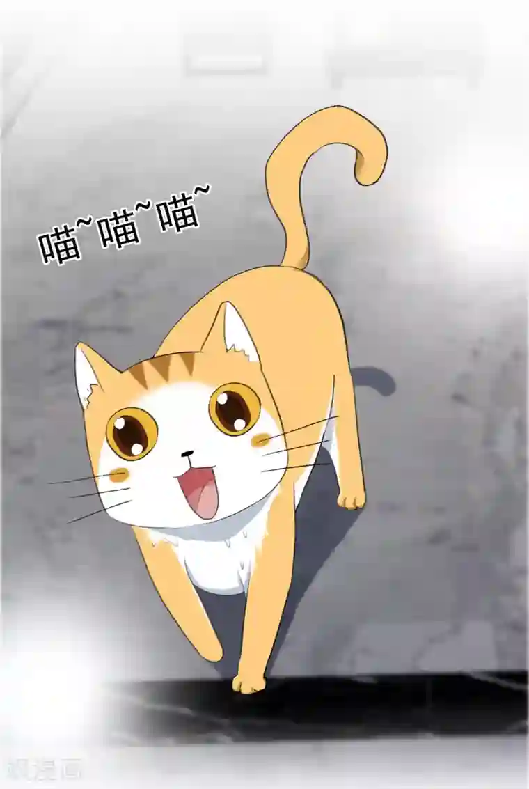 半脸女王第21话 秘密暴露？！