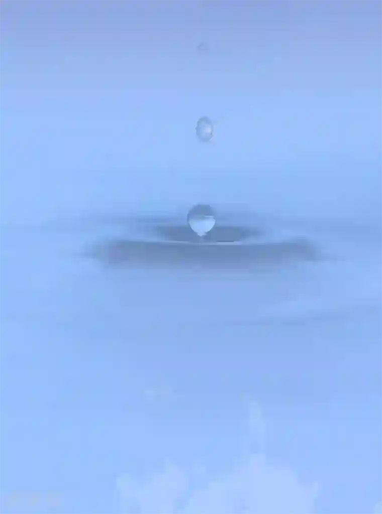 半脸女王最终话 愿你一生顺遂