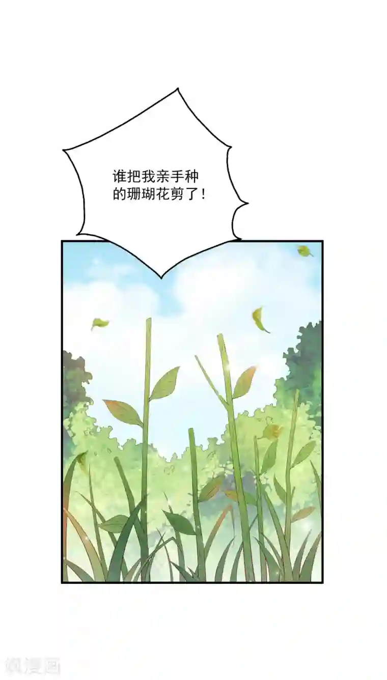 龙王的人鱼新娘第19话 情敌来势汹汹