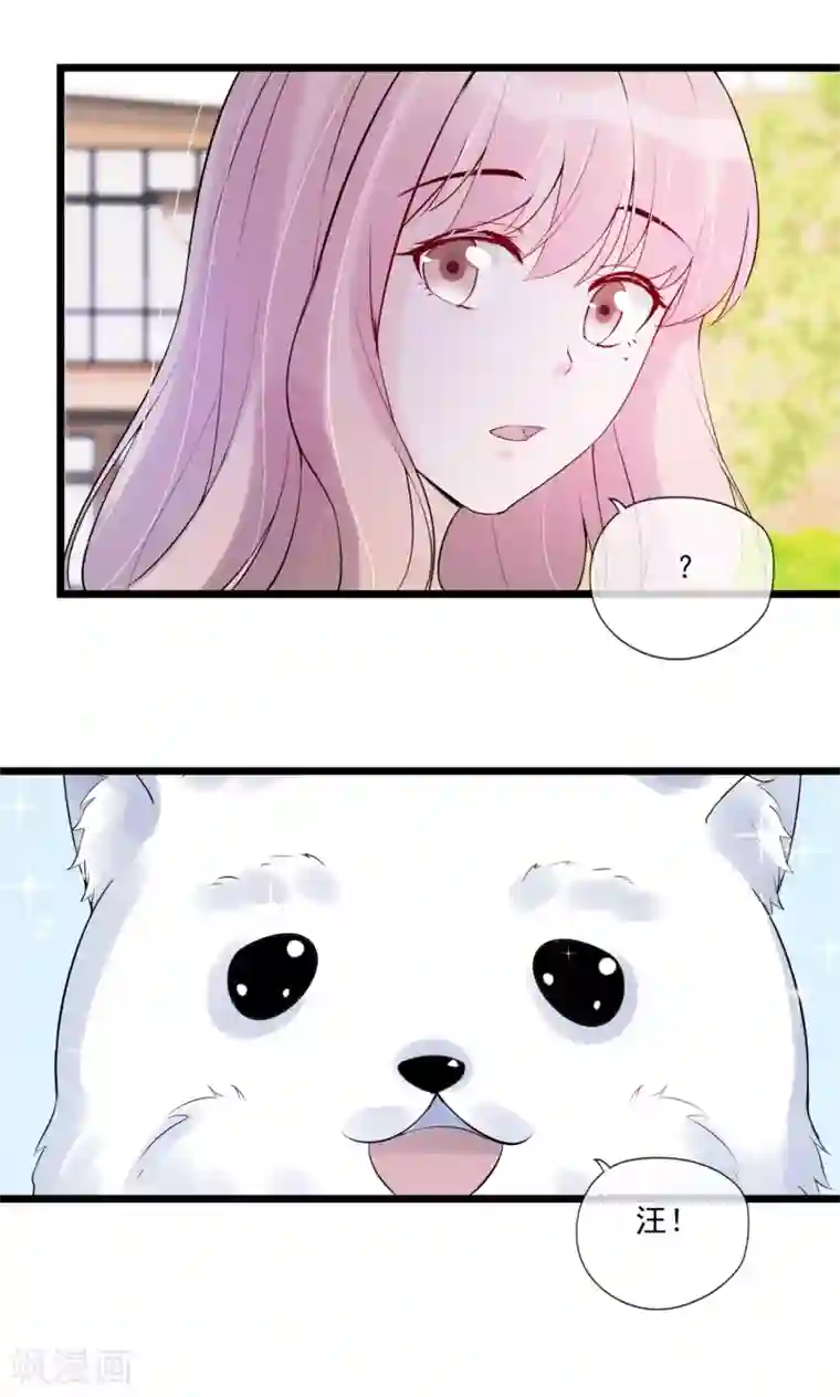 燃情陷阱第80话 重新嫁给我