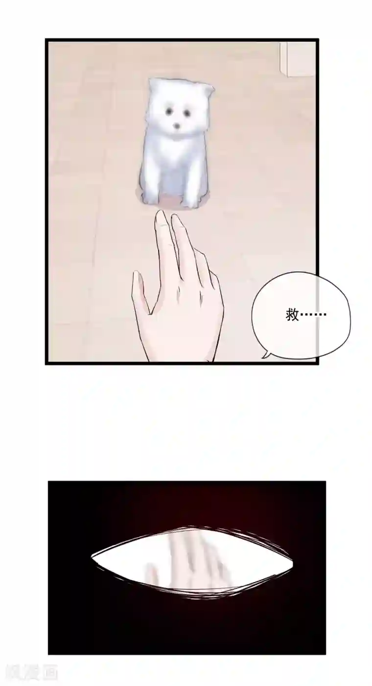 燃情陷阱第80话 重新嫁给我