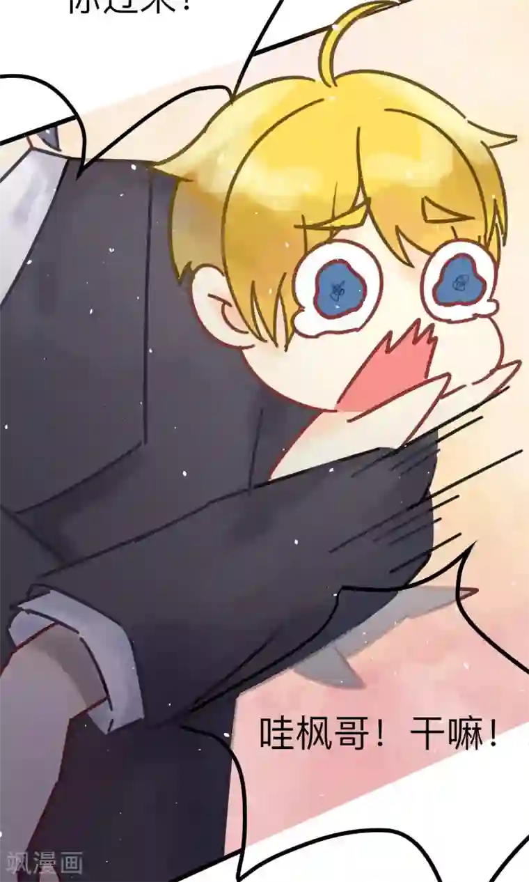 渣男总裁别想逃番外2 想看基辅吗？