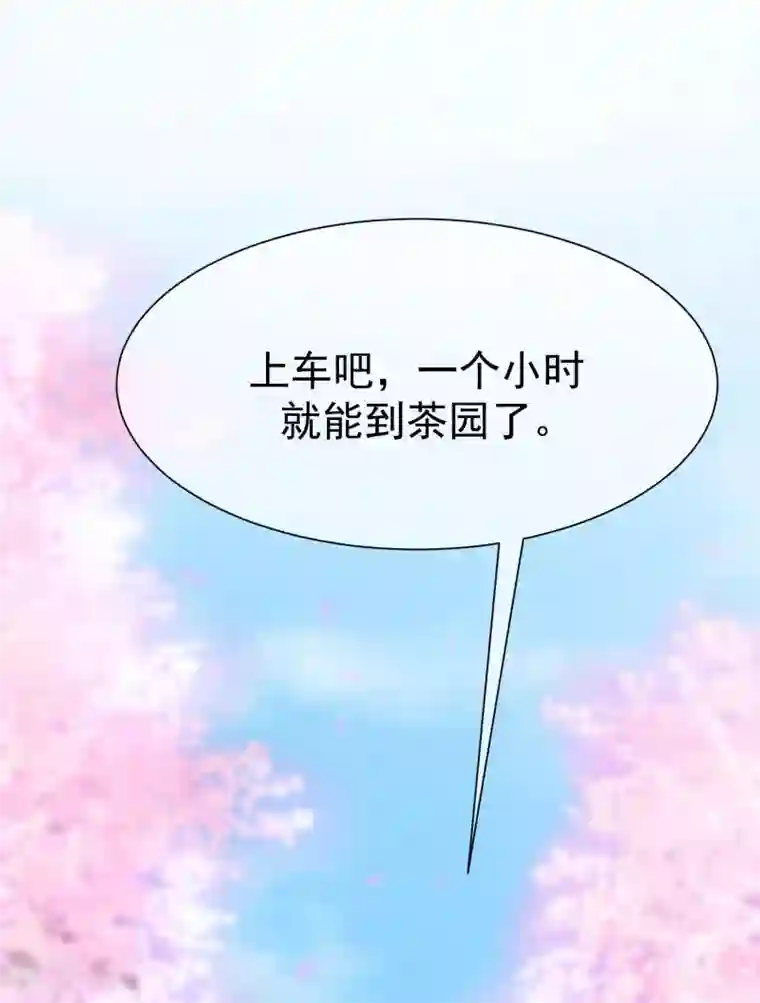 渣男总裁别想逃第145话 是采茶还是约会？！