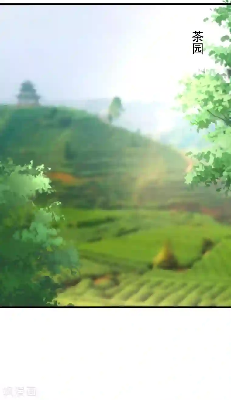 渣男总裁别想逃第145话 是采茶还是约会？！