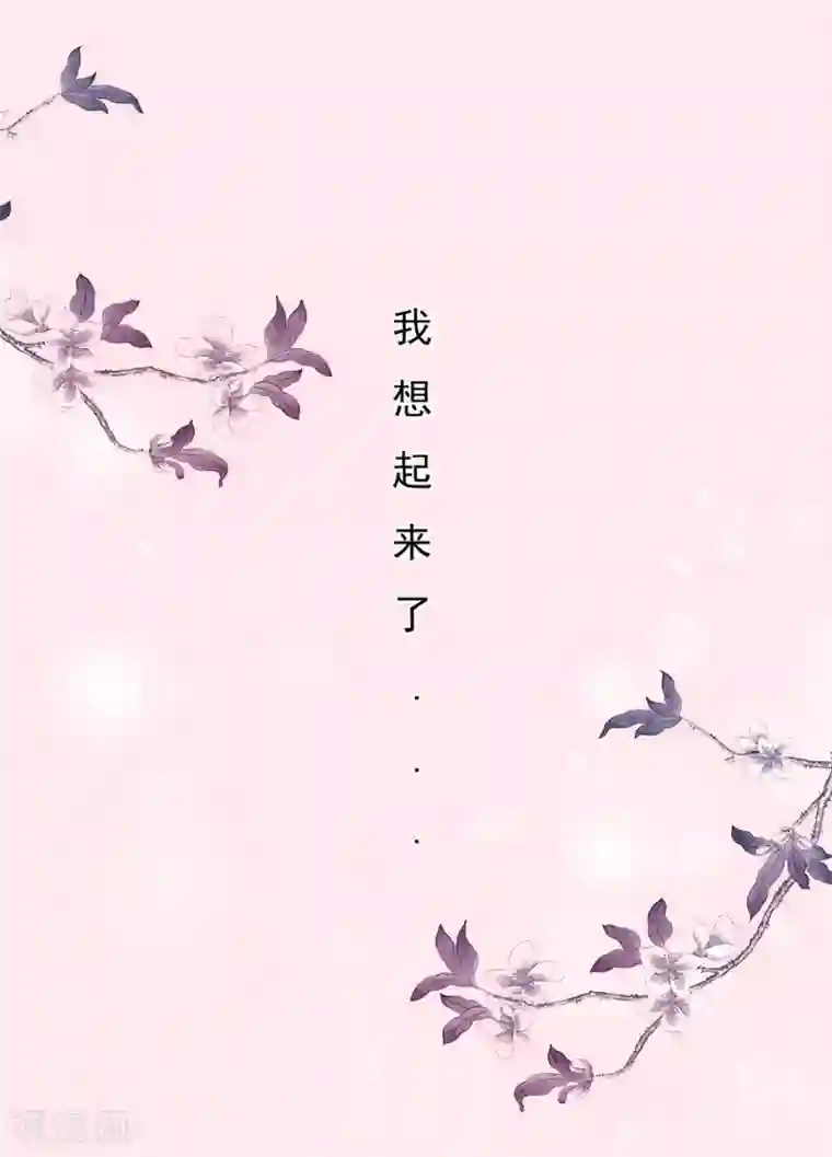 十里红妆，代兄出嫁第1话 洞房？