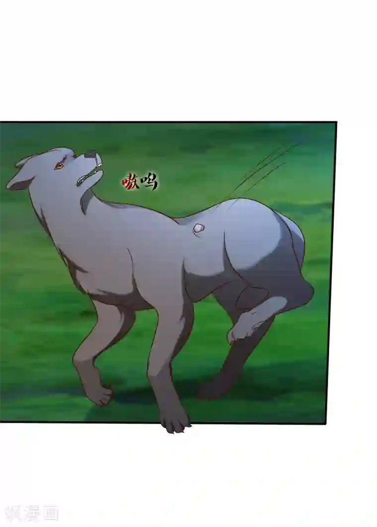 十里红妆，代兄出嫁第51话 听说你和别人圆房了？