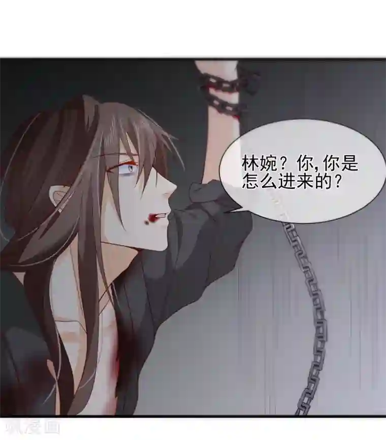 十里红妆，代兄出嫁第77话 这次，换哥哥来保护你！