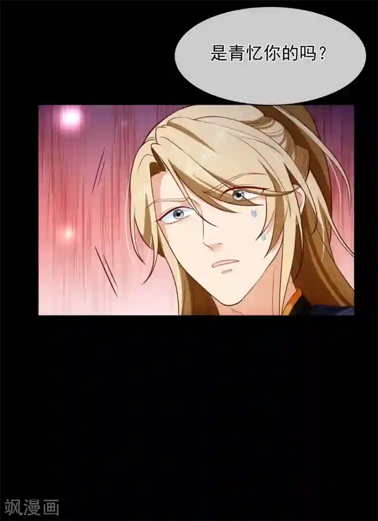 十里红妆，代兄出嫁第105话 你对朕的贵妃做过什么？