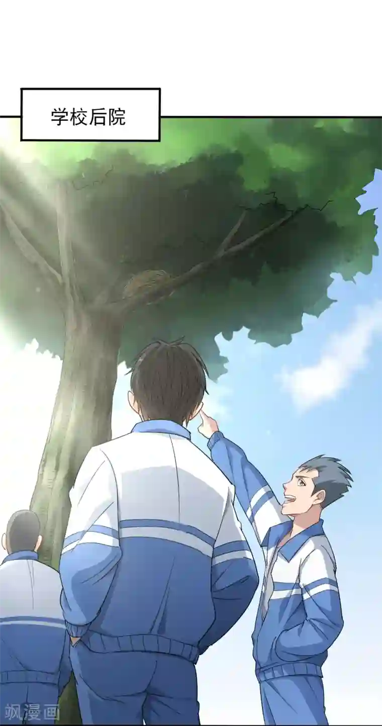 校园护花高手第3话 钢笔！钢笔！