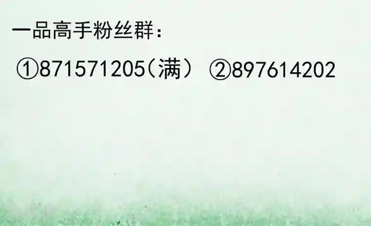 一品高手第12话