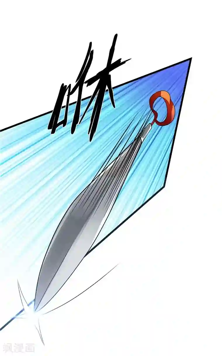 一品高手第20话