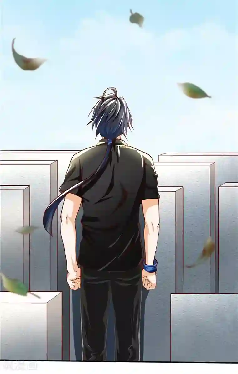 一品高手第34话