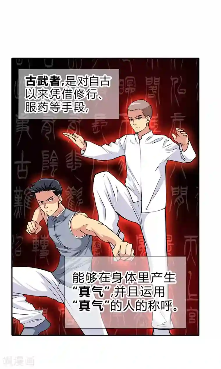 一品高手第51话