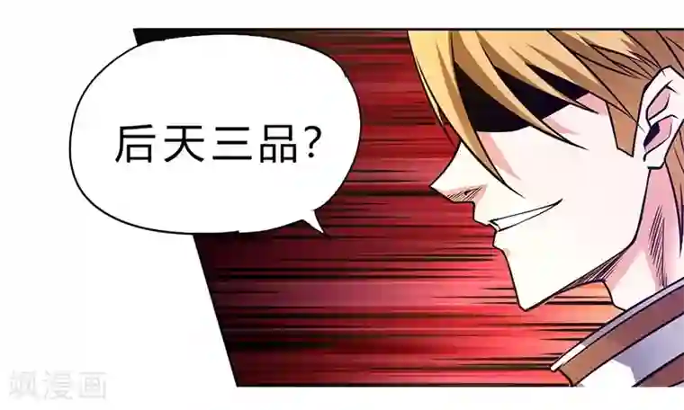 一品高手第78话