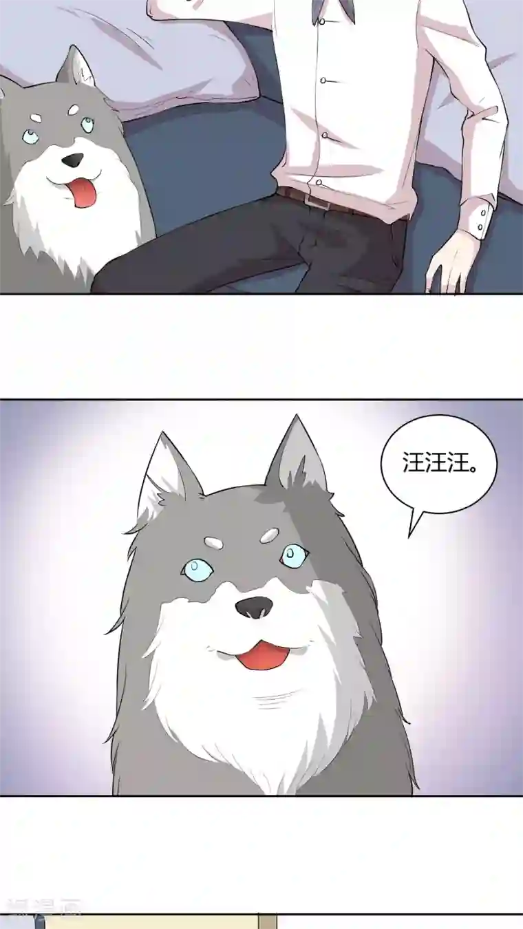 改造渣男计划第15话 改变未来，再见丹宁