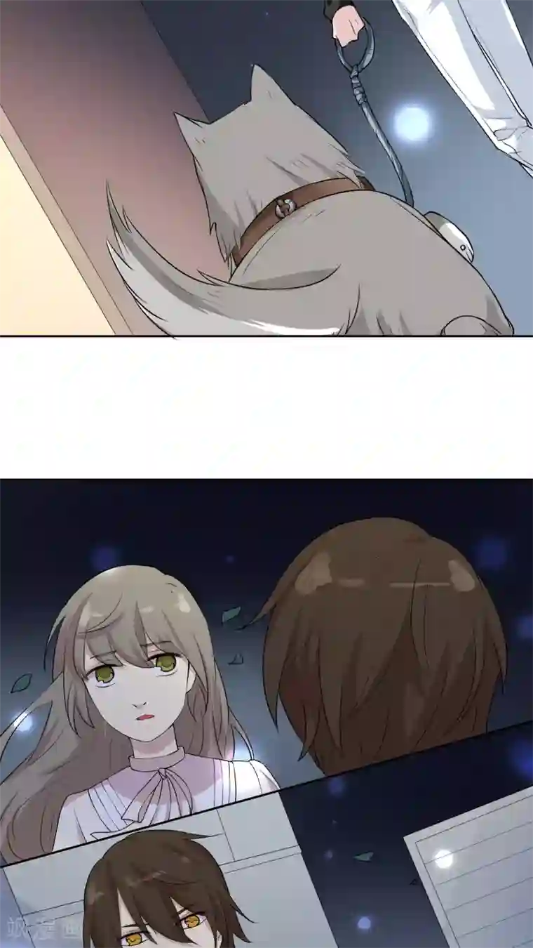 改造渣男计划第23话 陶禾的秘密