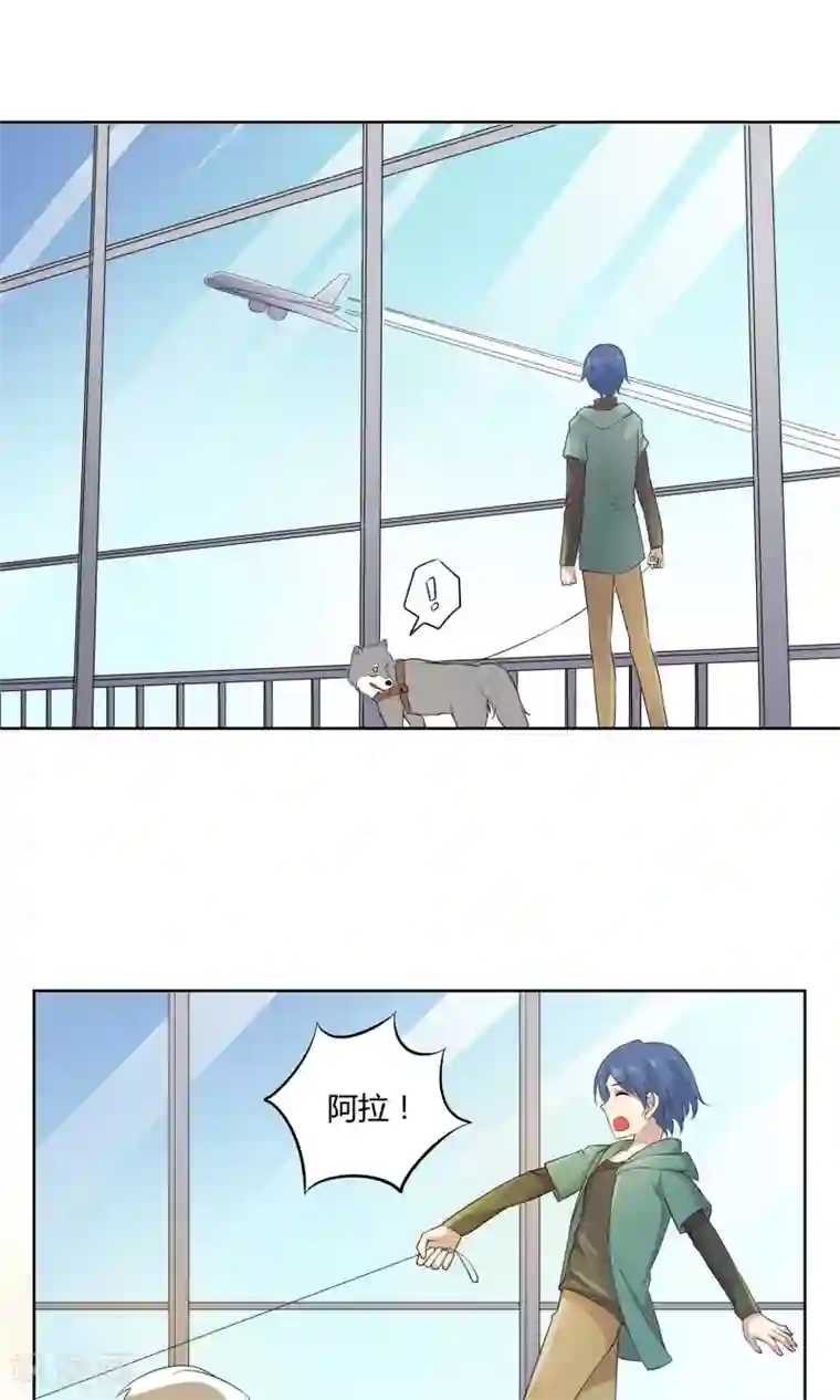 改造渣男计划第47话 杨黍归来