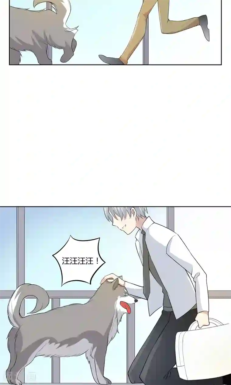 改造渣男计划第47话 杨黍归来