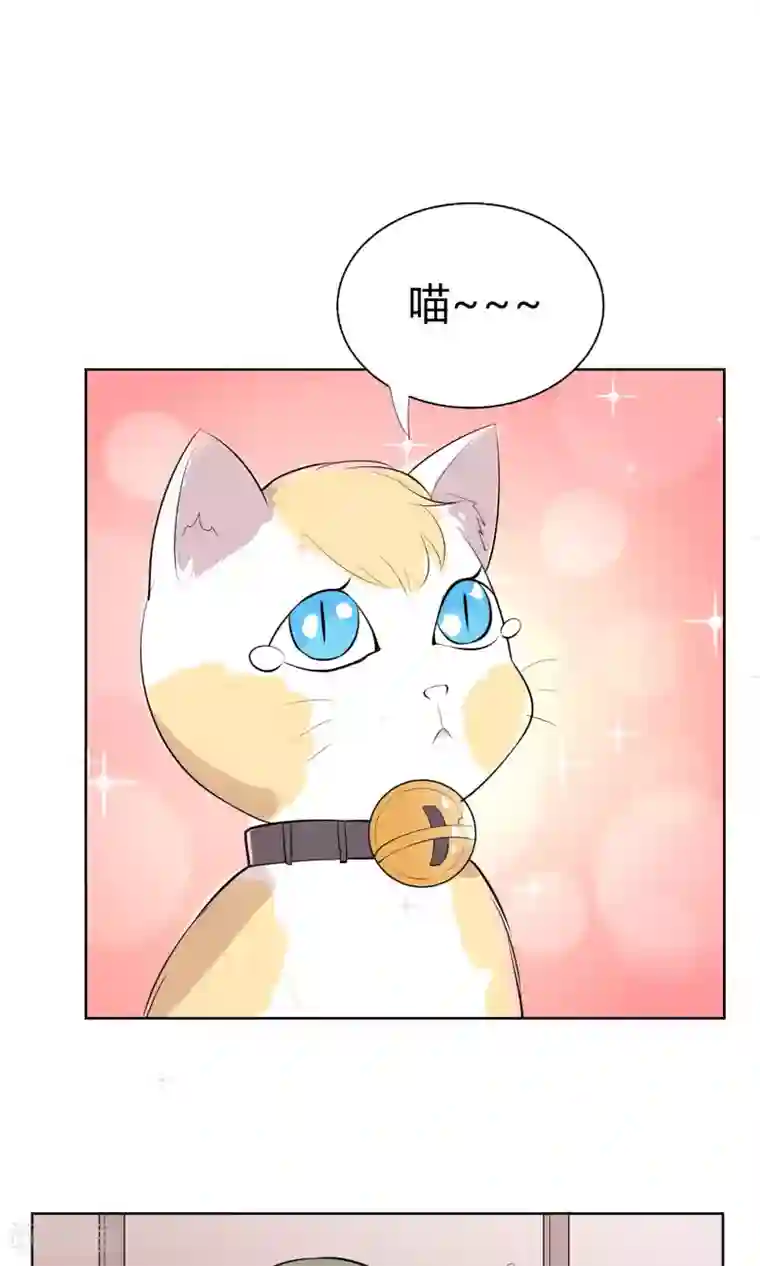 改造渣男计划第48话 暴风雨前的节奏