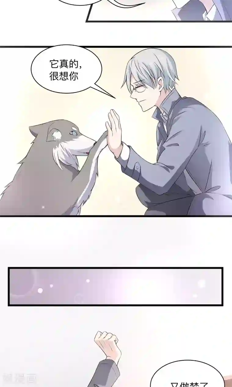 改造渣男计划第62话 暗网悬赏