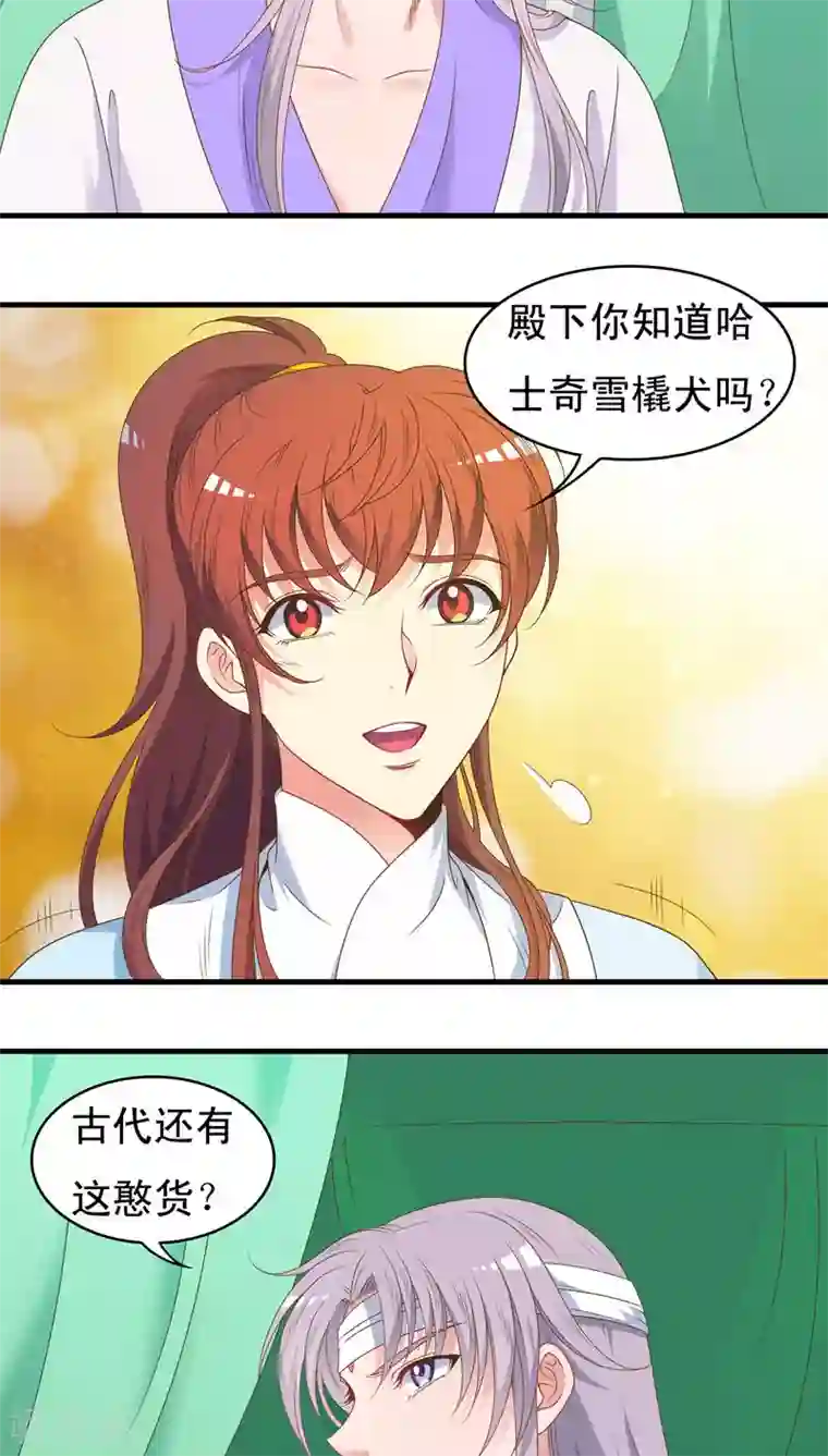 君随王爷浪天涯第49话