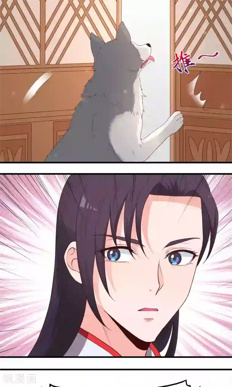 君随王爷浪天涯第67话