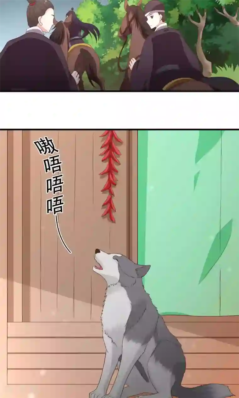 君随王爷浪天涯第67话