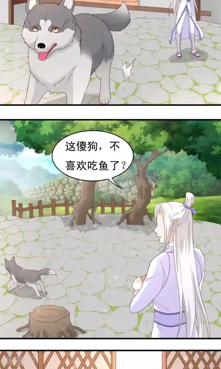 君随王爷浪天涯第67话